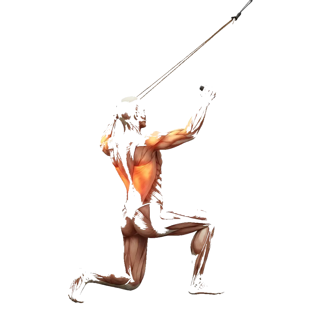 Banded lat pulldown 5-frame range-of-motion animation