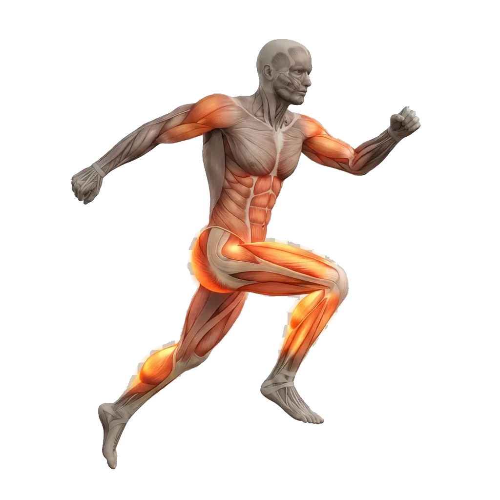 Broad jump 5-frame range-of-motion animation