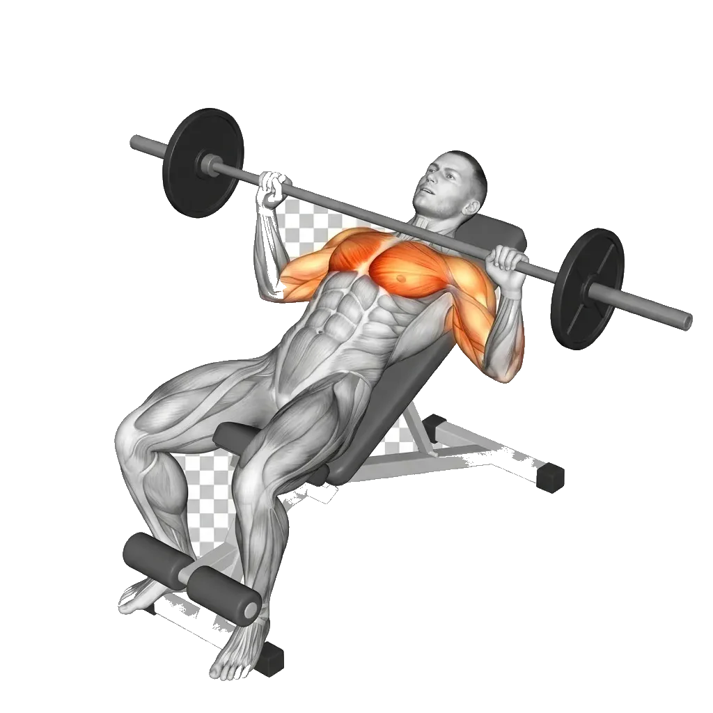Decline barbell press 5-frame range-of-motion animation