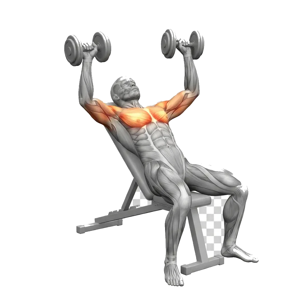 Low-incline dumbbell press 5-frame range-of-motion animation