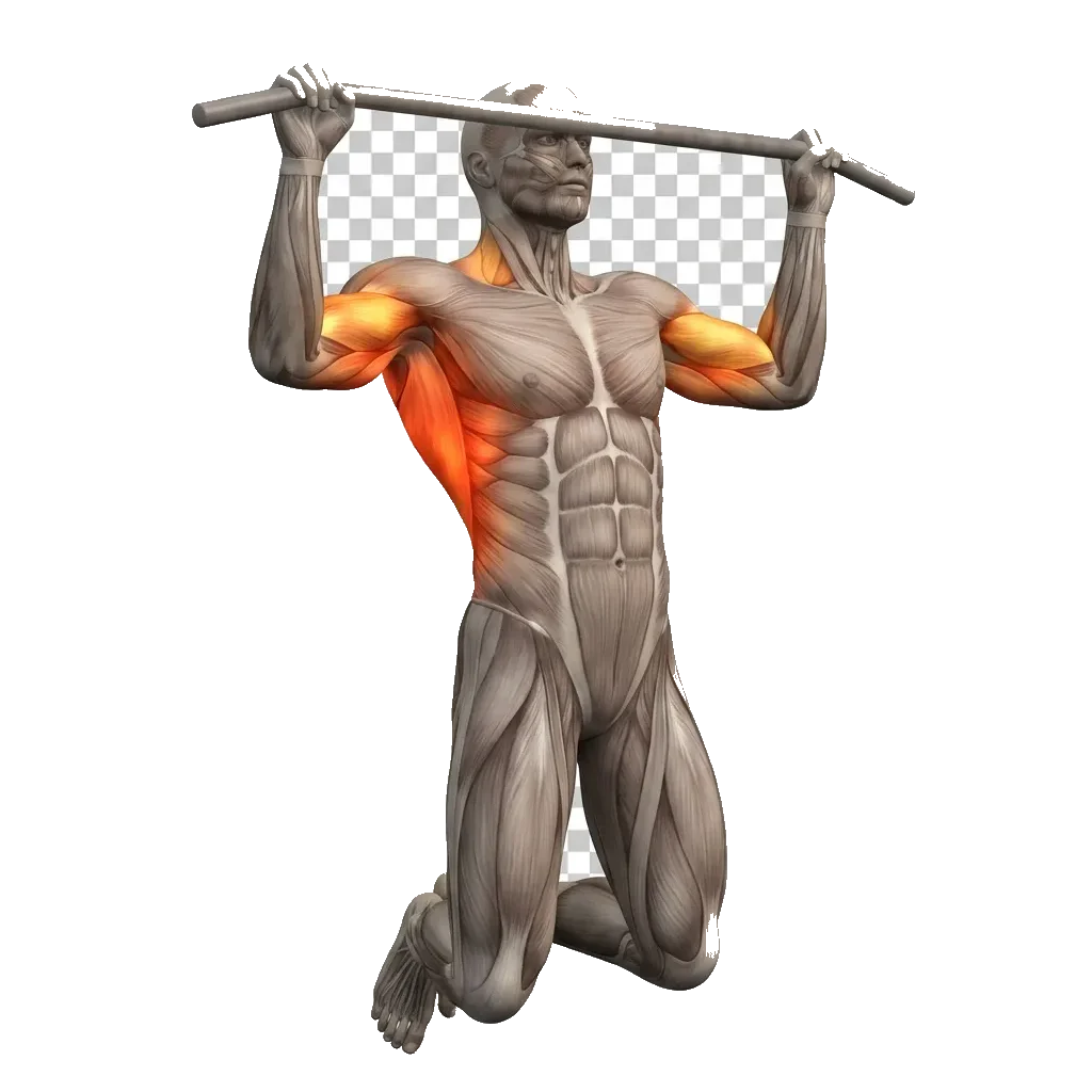 Negative pull-up (5 s lower) 5-frame range-of-motion animation
