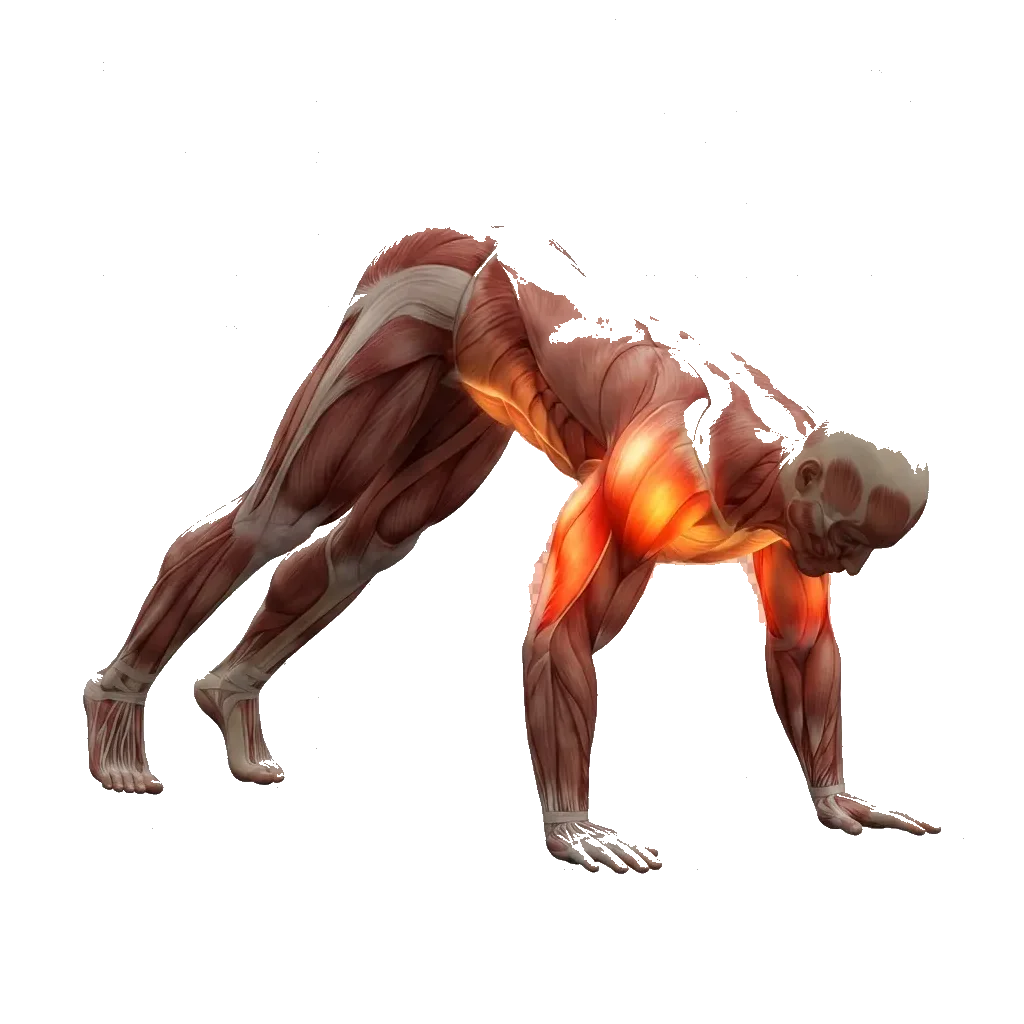 Pike push-up 5-frame range-of-motion animation