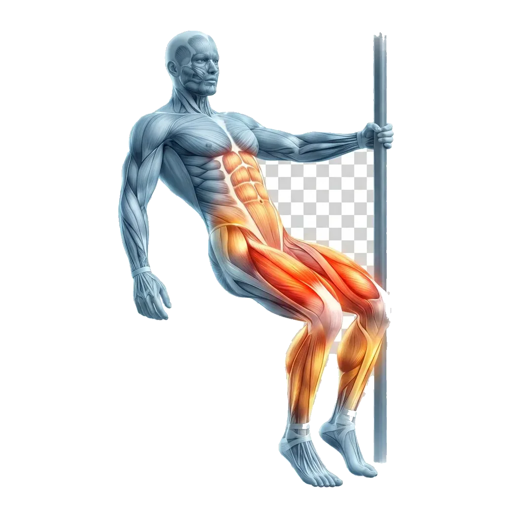 Sissy squat 5-frame range-of-motion animation