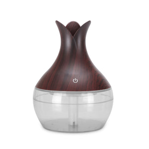 New Translucent Humidifier Desktop Mini USB Humidifier Air Purifier